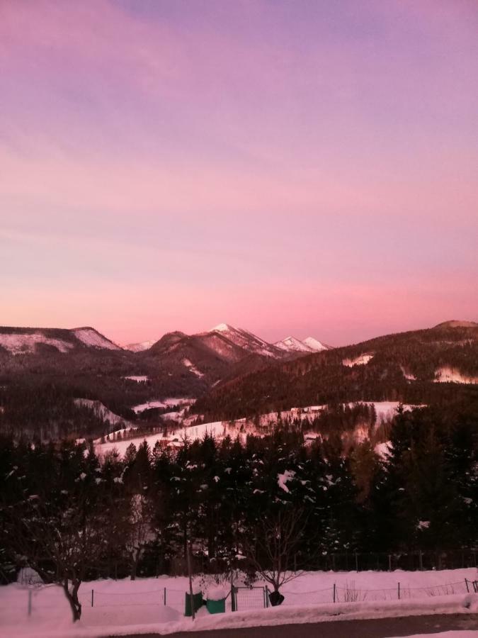 Alpenhaus Ganser-Dixit Mariazell Buitenkant foto