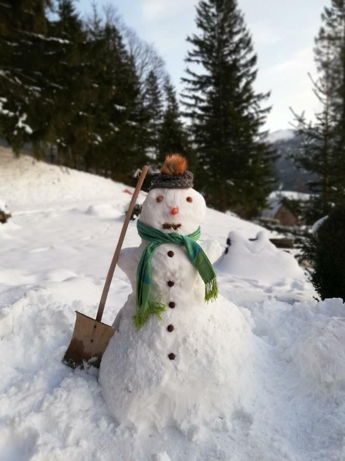 Alpenhaus Ganser-Dixit Mariazell Buitenkant foto