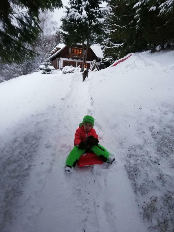 Alpenhaus Ganser-Dixit Mariazell Buitenkant foto